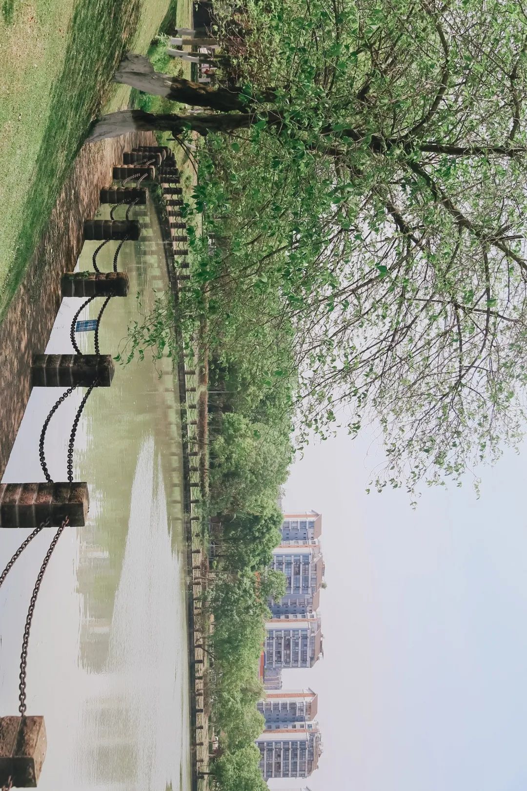 川大江安全景,川大江安校区地图高清