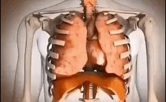 「网红束腰」：全世界有3亿人，在悄悄花钱买死