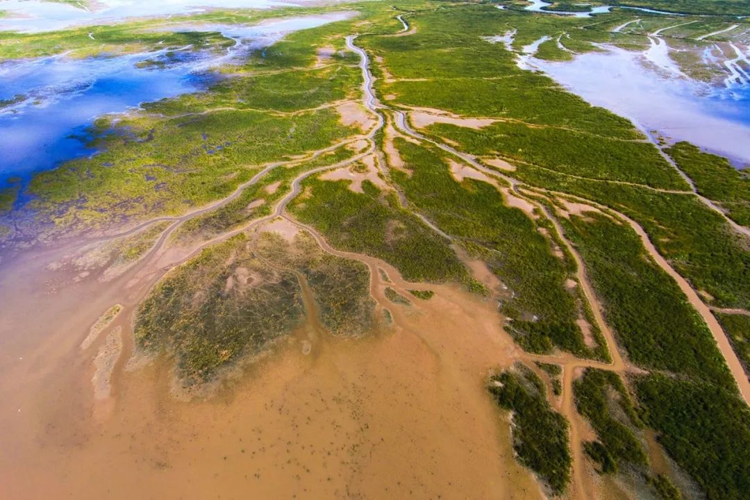 盐城最厉害的勺子,盐城铜勺子