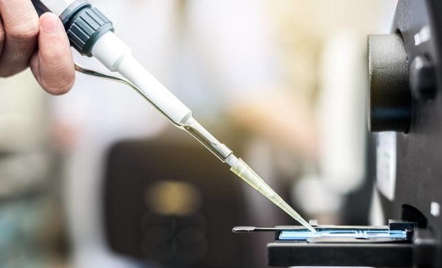 没有射精，却意外怀孕，这到底是为什么？