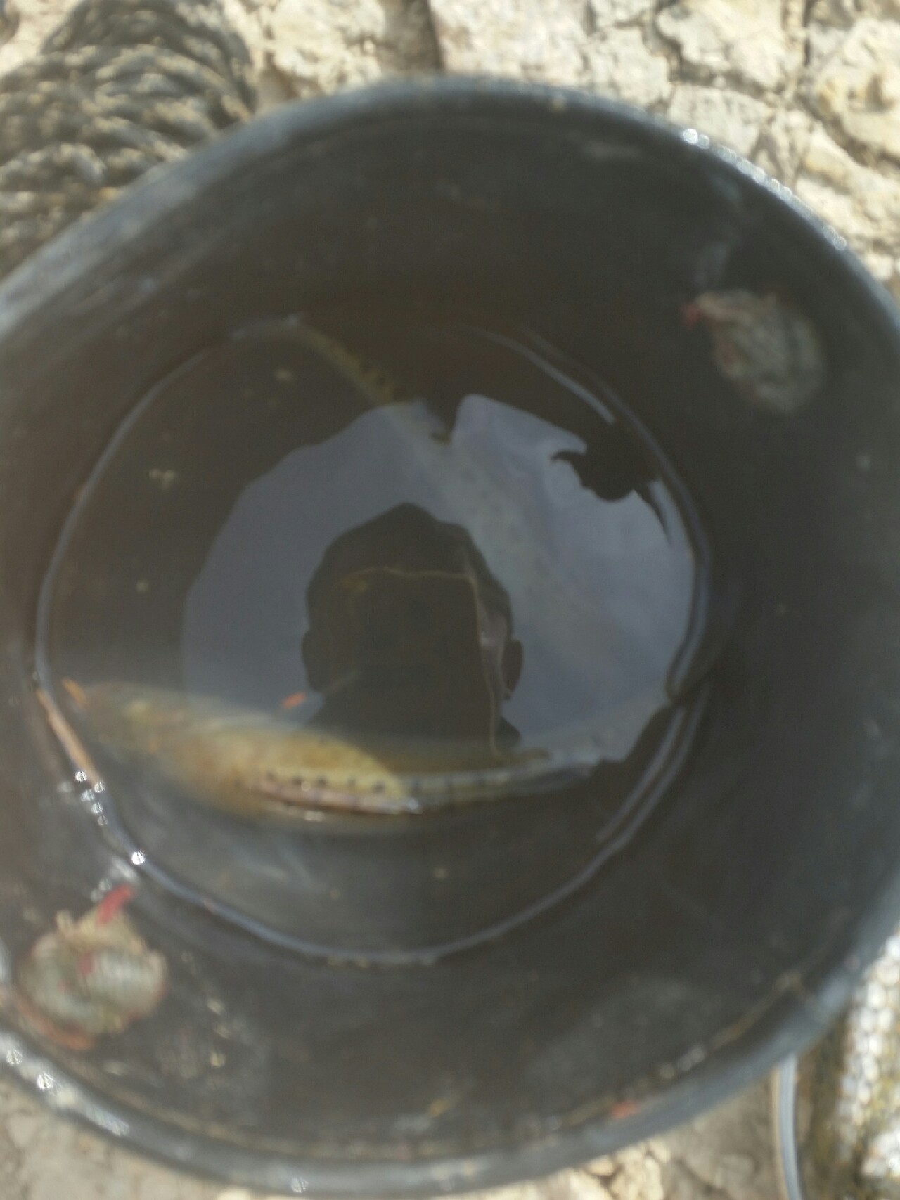 喜欢你！515狂拉不断！探钓永春红五一水库