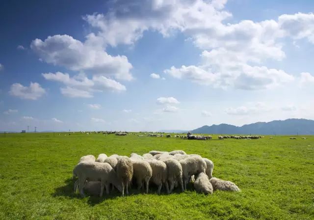 旅拍贵州!邂逅每一帧浪漫风景
