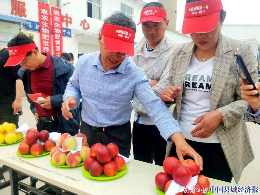 2022年砀山油桃的销量,砀山葛集镇油桃电商节