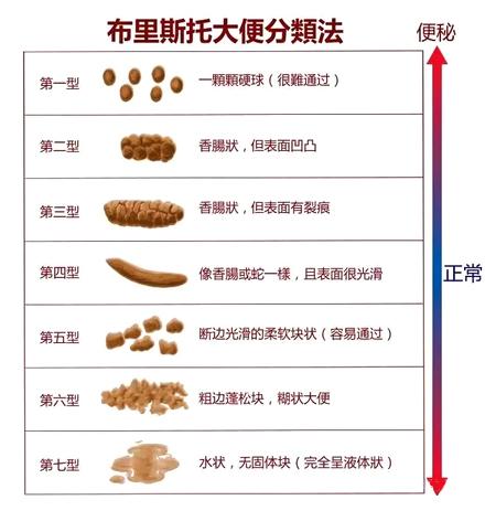 1岁宝宝便便什么样的才算正常,宝宝肠胃蠕动得快一天拉三次便便
