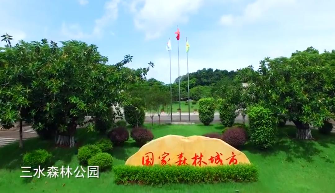 发扬战“疫”正能量！上周，佛山52次登上“学习强国”全国平台