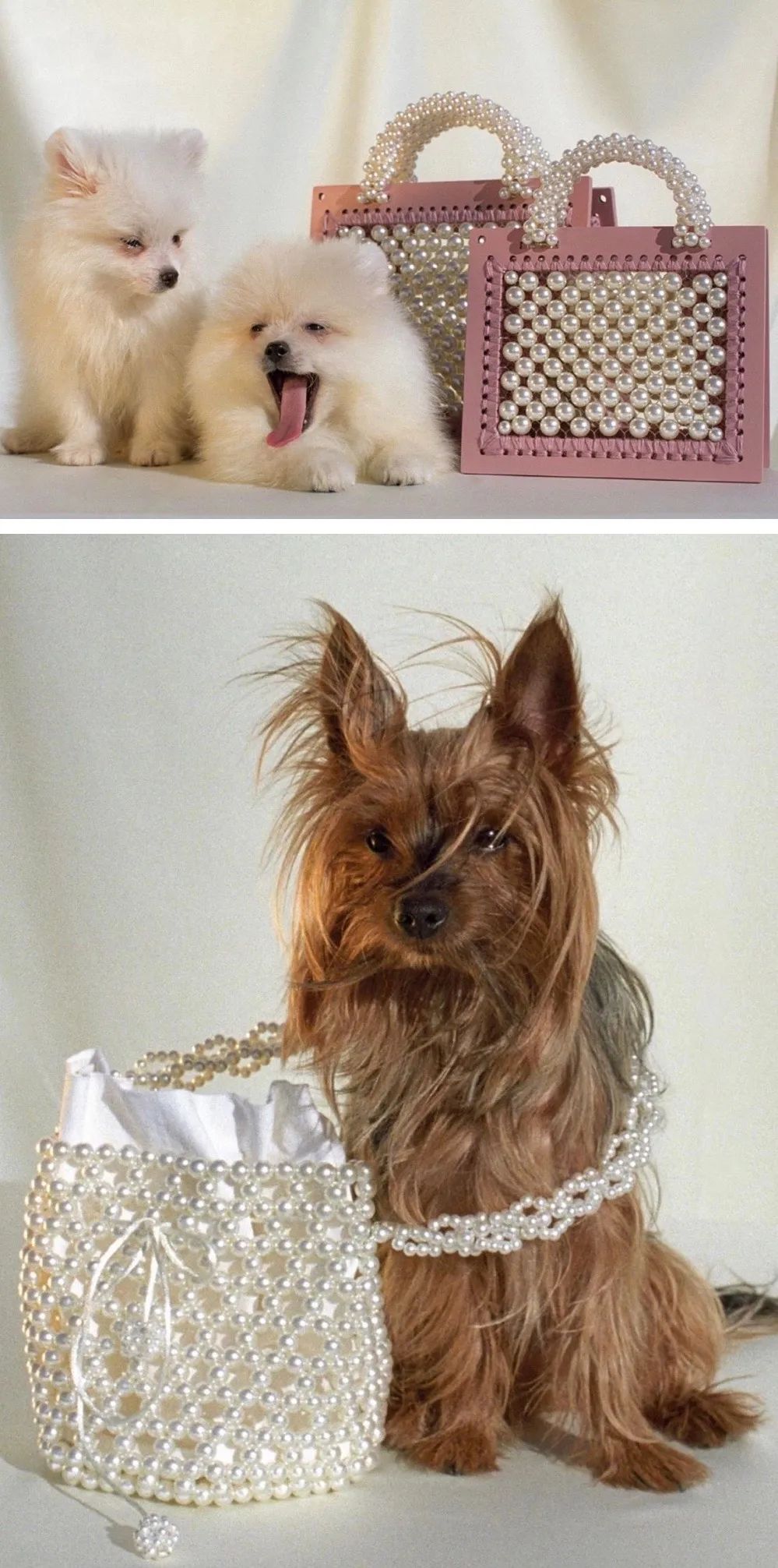 大牌包袋接班人大赛，你Pick哪一款？