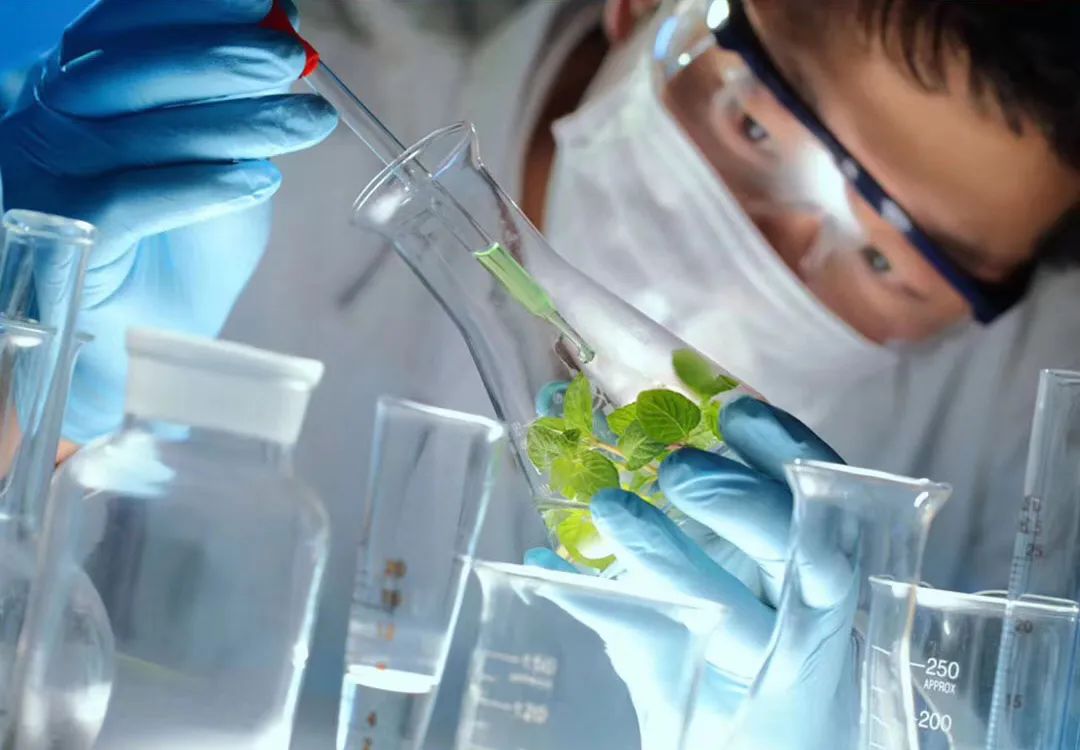 夏季超薄透气冰感收腹裤,冰感收腹提臀安全裤