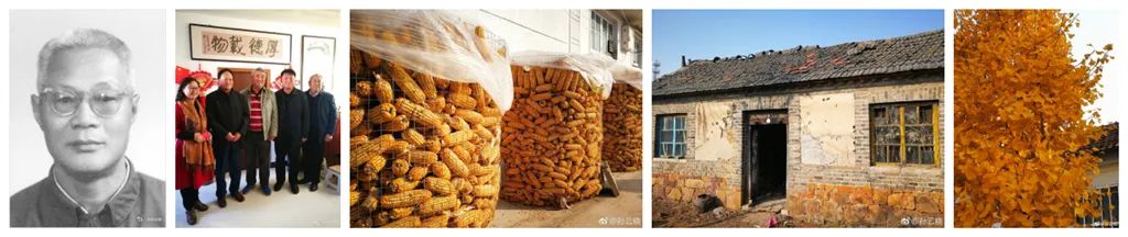 孙云晓的成长,孙云晓的家庭教育视频