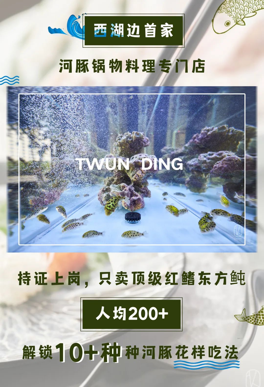 日本河豚料理杭州唯一一家,吃河豚最好的餐厅