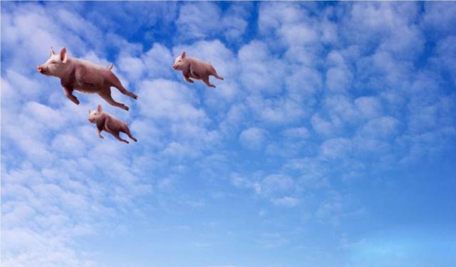 地产大佬转型农业,地产大佬做什么