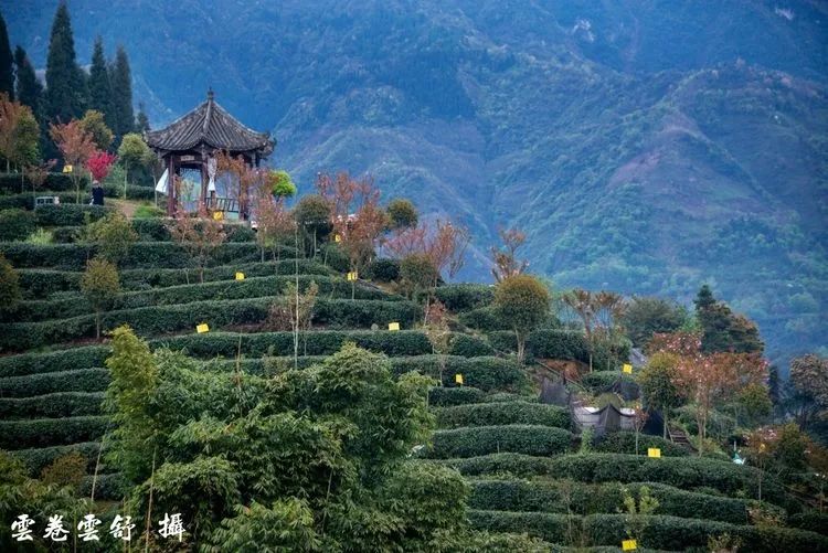 真香！去乐园耍水，到秘境观溪，本周门票福利已送达~