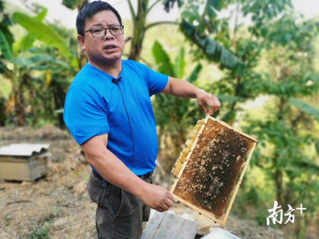 结对帮扶三年多,罗湖给这两个贫困县带去了什么?