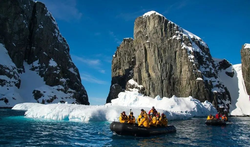 南极洲“绿雪”涌现,帝企鹅:泥土是什么?