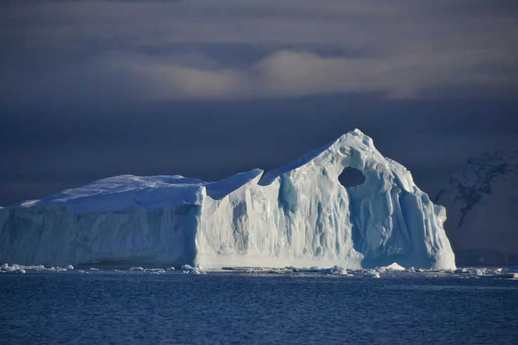 南极洲“绿雪”涌现,帝企鹅:泥土是什么?