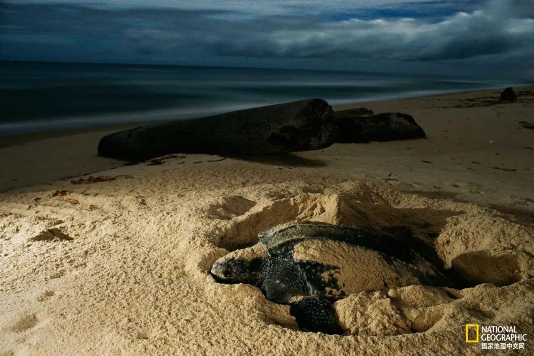 新冠肆虐,新冠在东南亚持续肆虐