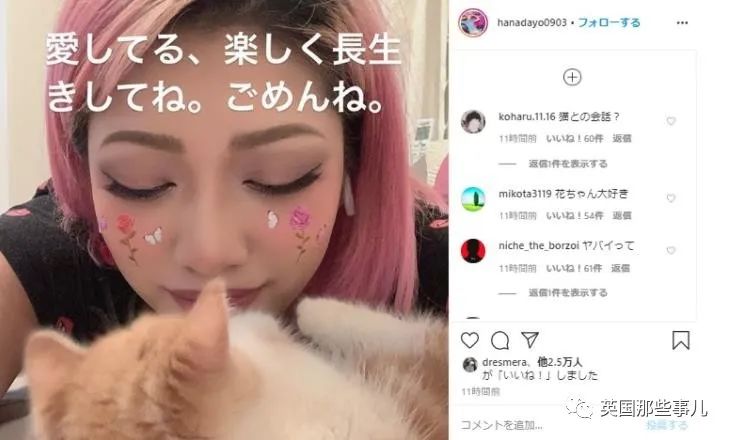 22岁的摔角女星自杀身亡。这背后，又是一场网络*力暴**的悲剧