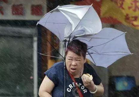 日本迷你口袋伞,日本口袋伞专治什么