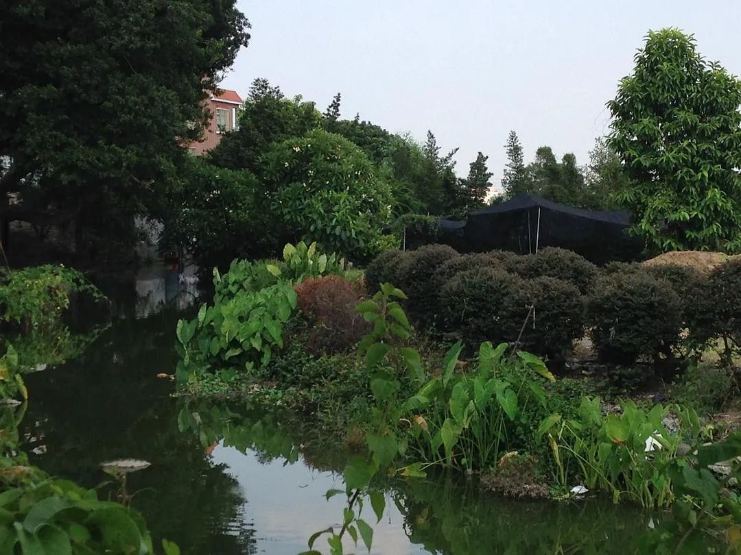 我在物流公司上夜班的一年,我在德邦上夜班的一年