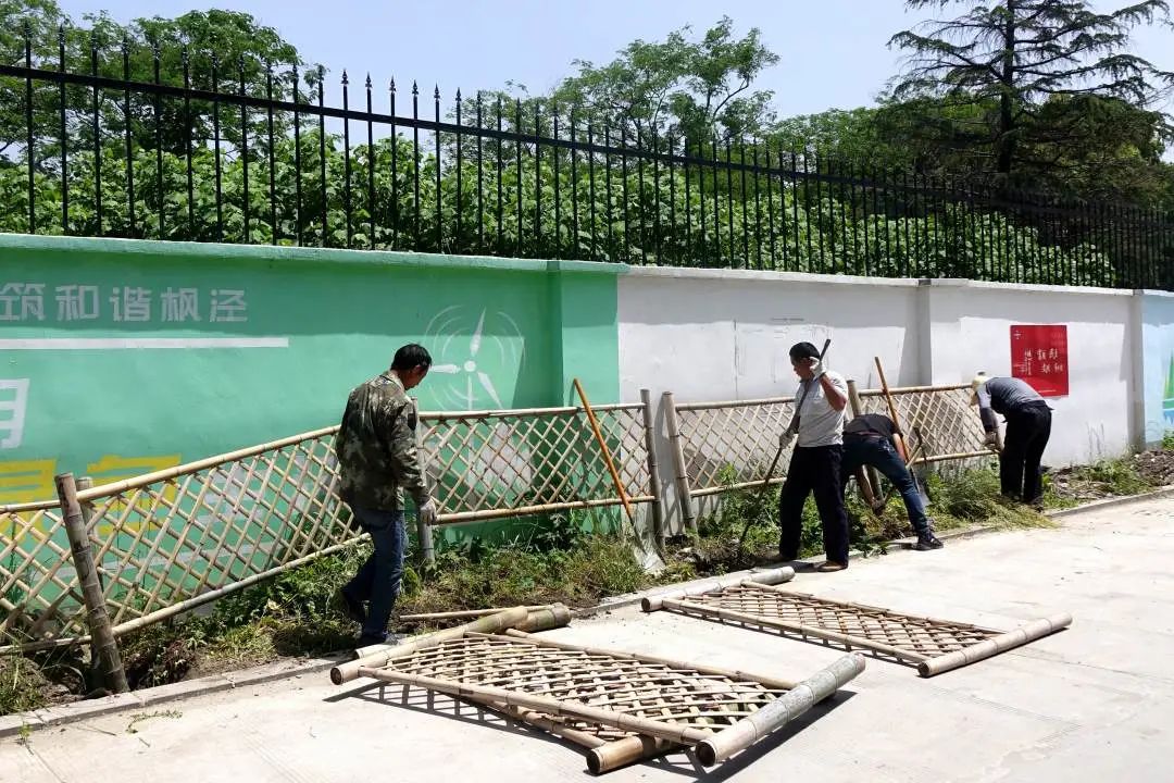 枫泾枫美路改造,青浦枫泾古镇