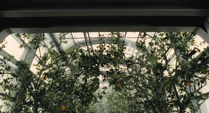 耗资3亿破影史纪录,耗资一亿打造的纪录片