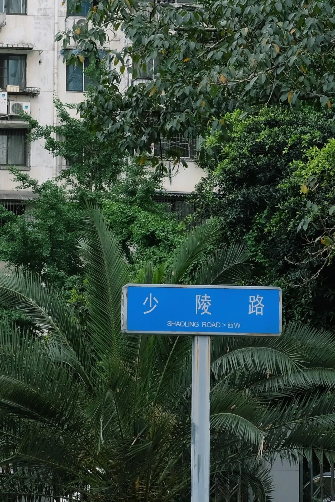 少陵路是属于哪个街道,三年前少陵路