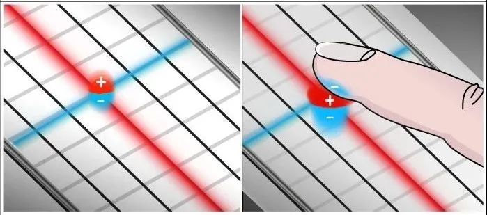 香蕉为什么可以触屏,香蕉为什么能触屏