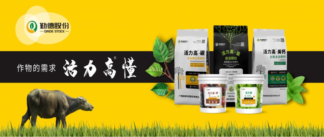 勤德股份诚聘：大区合伙经理人，期待您的加入