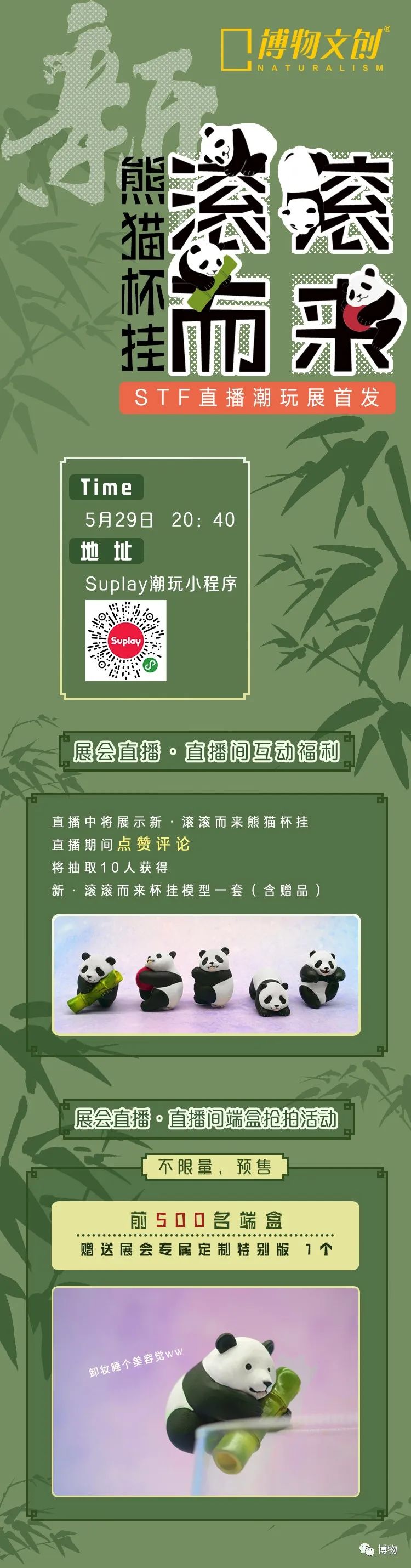 大熊猫一生没有彩色照片,大熊猫的愿望彩色照片