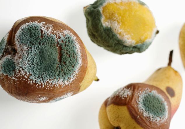 杭州今日入梅，梅雨季节居家除霉妙招请收好