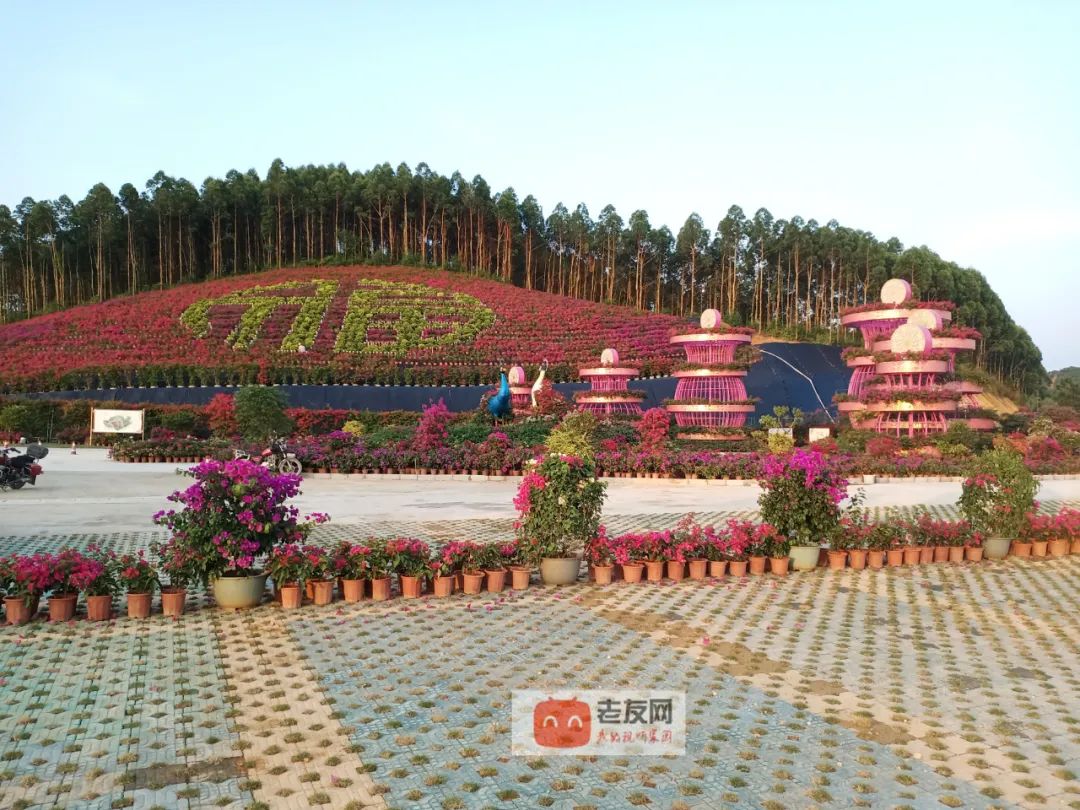 上林旅游免费景区,广西上林3a级景区