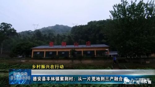 德安县丰林镇紫荆村,田间地头乡村振兴