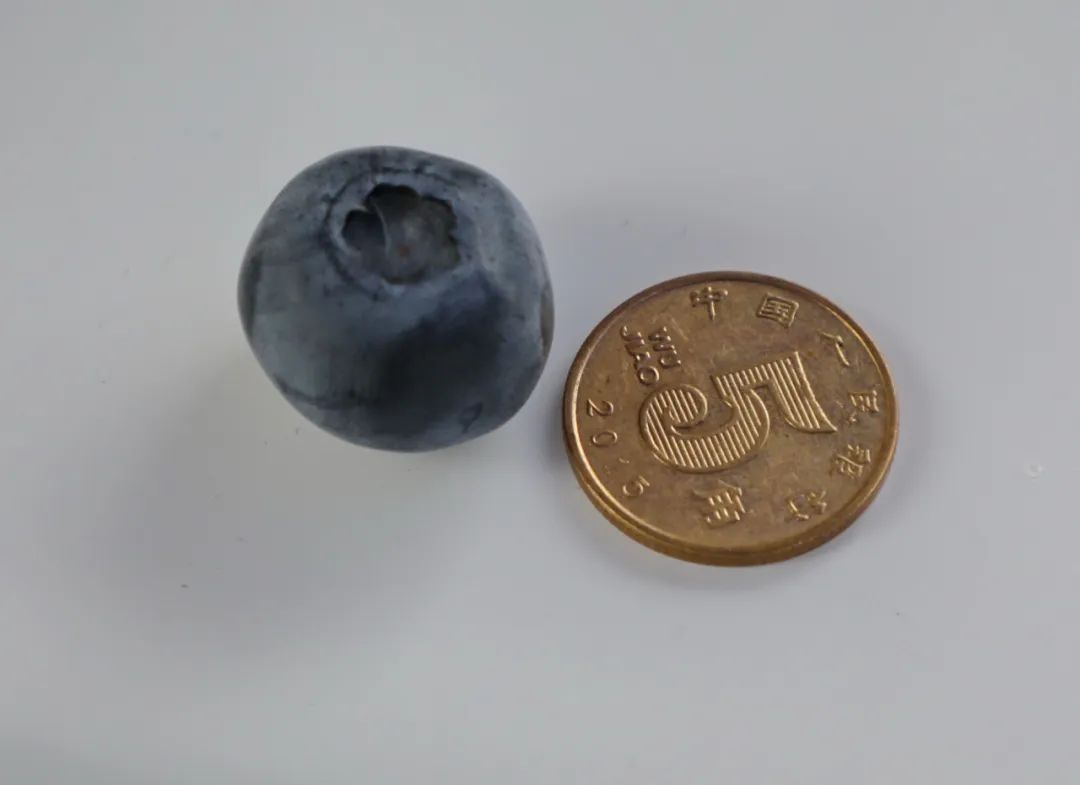 酸甜可口咬一口满嘴口水,酸甜脆爽一口就能爆汁