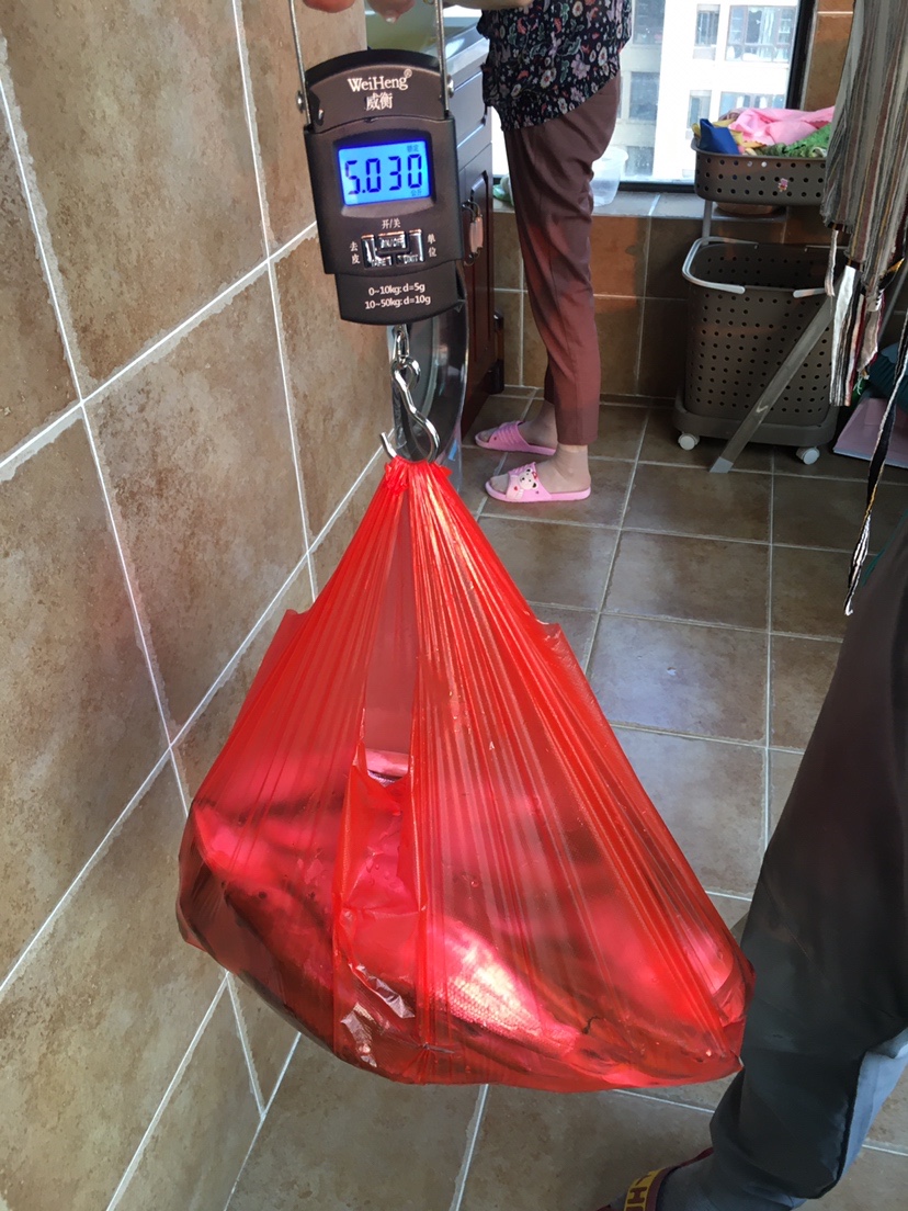 山湖水库迎风甩大鞭，没点技术怎么擒住斤翘