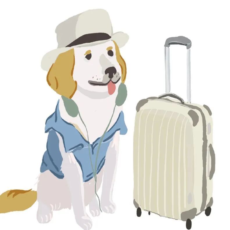 携带宠物出境需要办理哪些手续,携带宠物出境指南