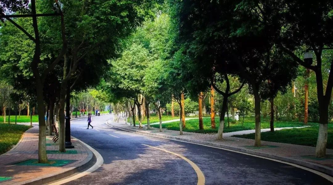 成都大学是什么级别的大学,成都大学和四川轻化工大学