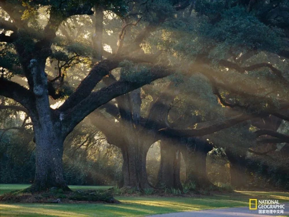 芒种至仲夏始人生丰收时,芒种至仲夏始介绍