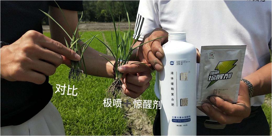 氮钾复合肥缓释肥,叶面喷雾缓释复合肥