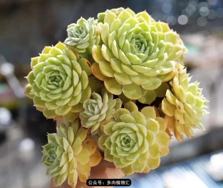 专注于自己喜欢的事情,专注于自己喜爱的事情