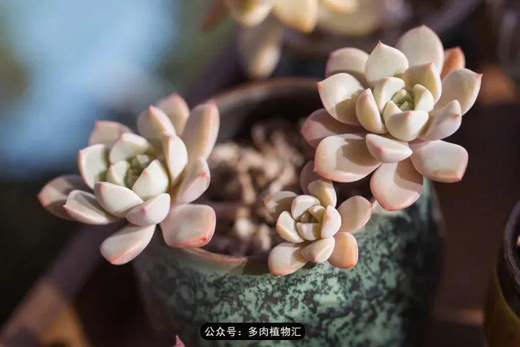 专注于自己喜欢的事情,专注于自己喜爱的事情