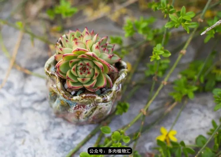 专注于自己喜欢的事情,专注于自己喜爱的事情