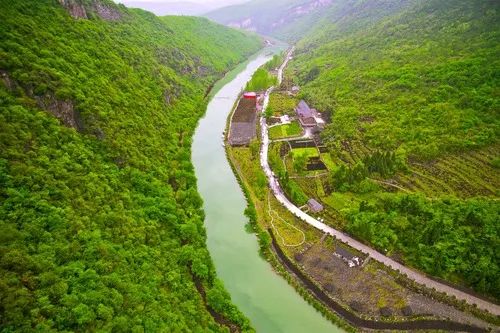 三番五次离家出走,三次离家出走的男孩