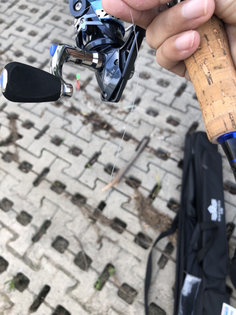 新路亚鱼竿到手要干嘛,新路亚竿子到手硬吗