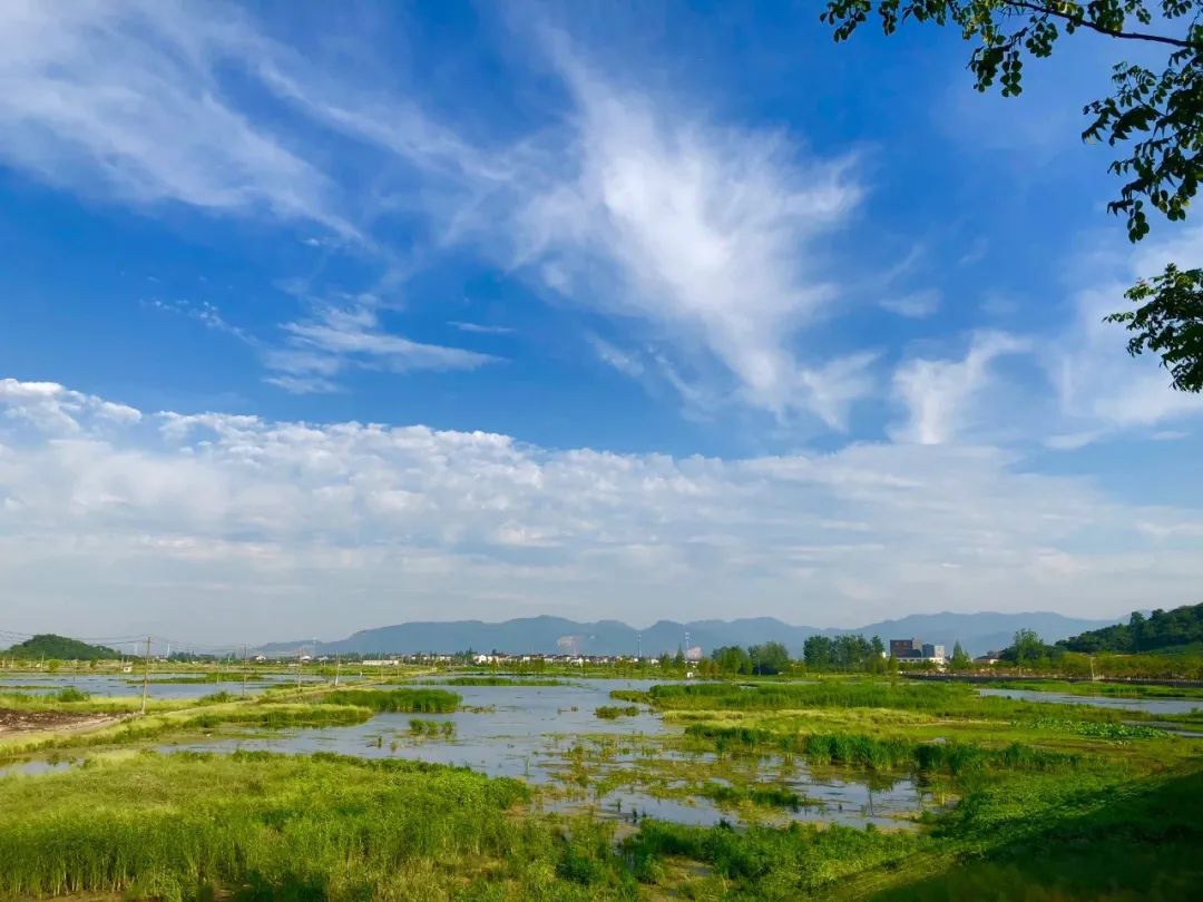 杭州新开最大的公园,杭州新湿地公园