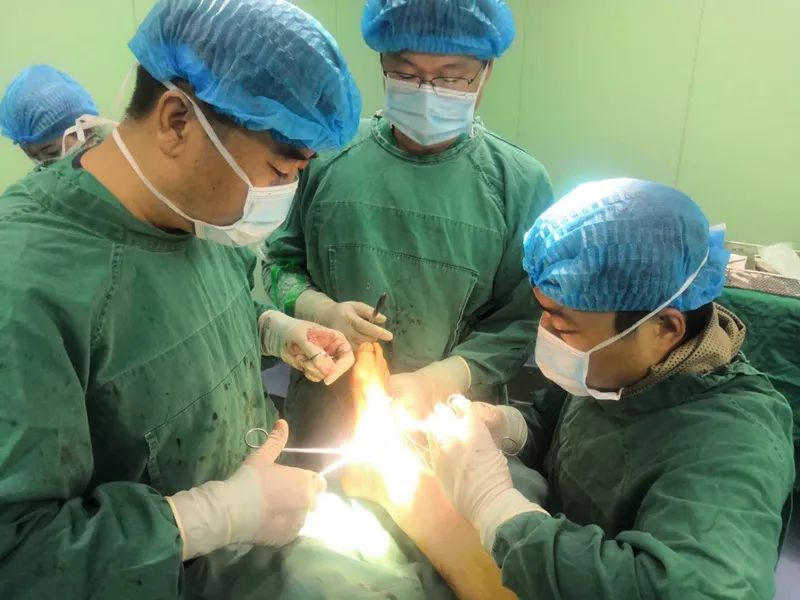 手足外科微创手术,巴彦淖尔市医院手足显微外科