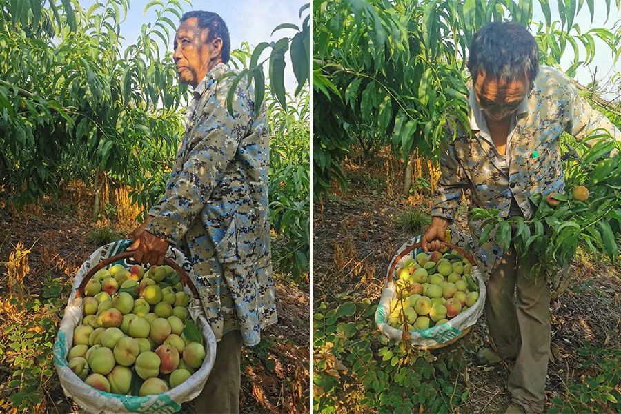 拼团|嫩得掐的出水的“蜜桃臀”，白里透红，一咬就爆汁！每一口都是满满少女心