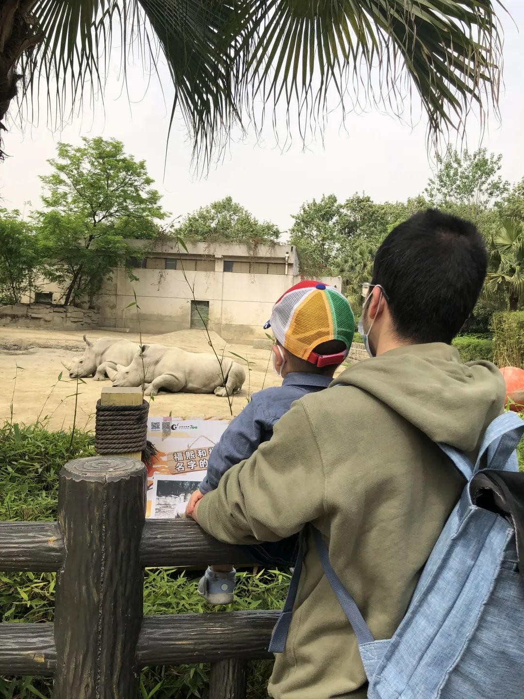 四川耙耳朵的爸爸,成都耙耳朵爸爸