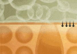 黄金美容真相,黄金美容护肤