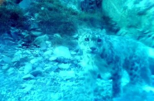 6月12日天气预报,6月12日什么星座