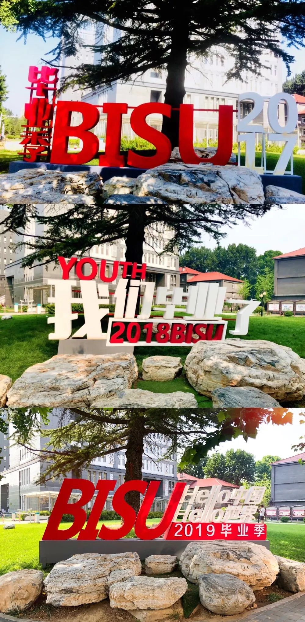 毕业季我的初中生活,毕业季我和我的校园时光