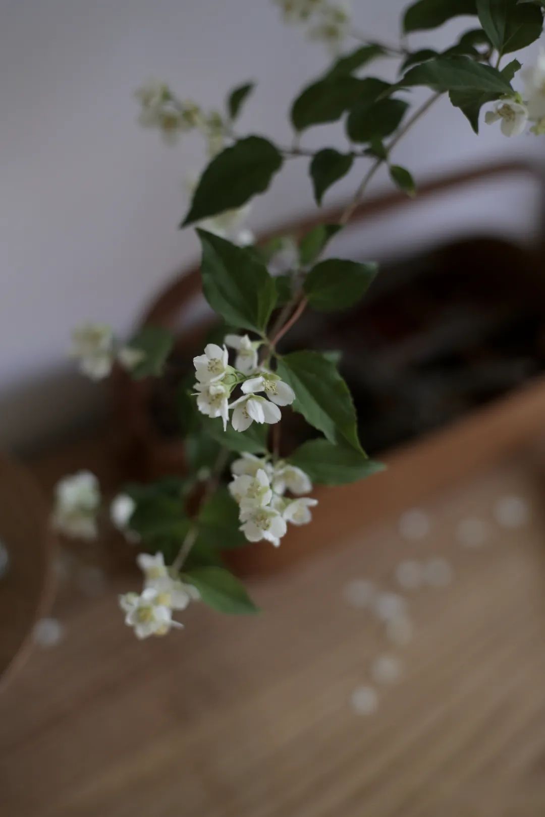 乘风破浪的妈妈，对硬装一窍不通也敢操刀改造78㎡“手枪房”